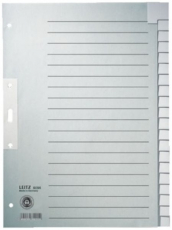 Register blanko A4 20-teilig Tauenpapier Leitz 100g grau 223x300mm Tab verstärkt